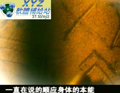 藍光畫質版 養生篇 從字到人 主講 曲黎敏 01-28集(完) 國語發音 繁體中文/簡體中文語言字幕版(適用任何家用DVD播放機超清晰畫面超長超值享受)(DVD9版)(3DVD9)